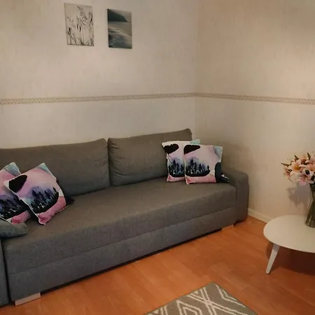 Spacious With Balcony And Free Wifi Daire *