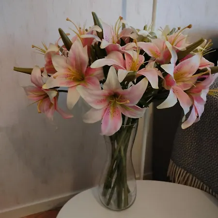 Apartment Spacious With Balcony And Free Wifi Rovaniemi