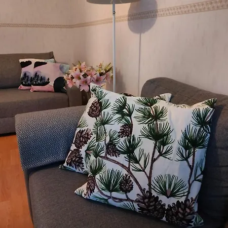 Spacious With Balcony And Free Wifi Rovaniemi