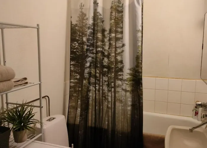 Spacious With Balcony And Free Wifi Апартаменты Рованиеми